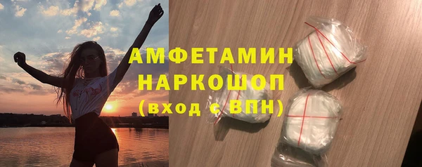 стаф Ельня