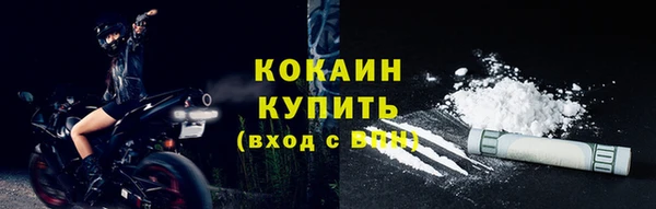 стаф Ельня