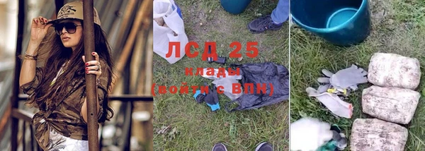 стаф Ельня