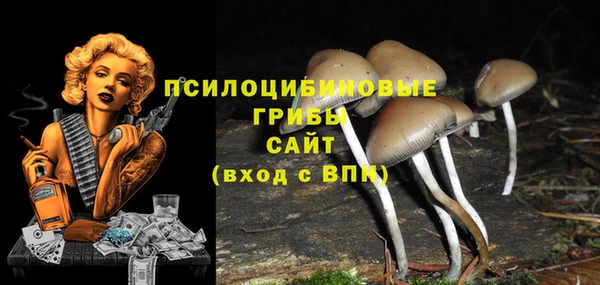 спиды Дмитровск