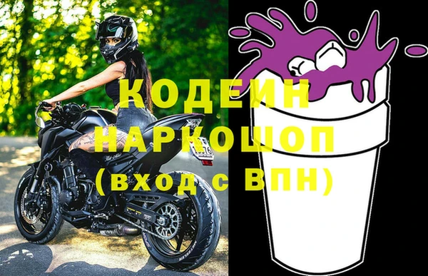 стаф Ельня