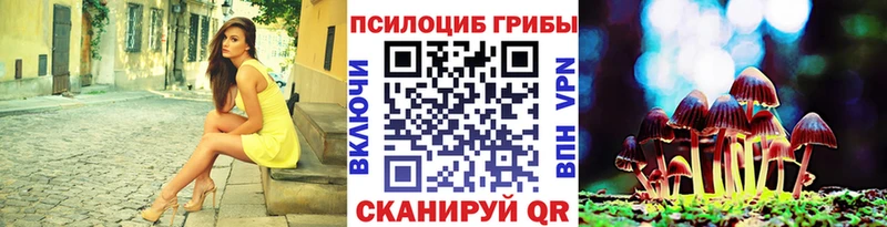 Галлюциногенные грибы Magic Shrooms  где купить наркотик  Волгодонск 